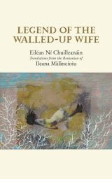 Legend of the Walled-up Wife - Eiléan Ní Chuilleanáin