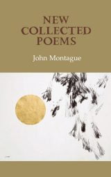 New Collected Poems - John Montague