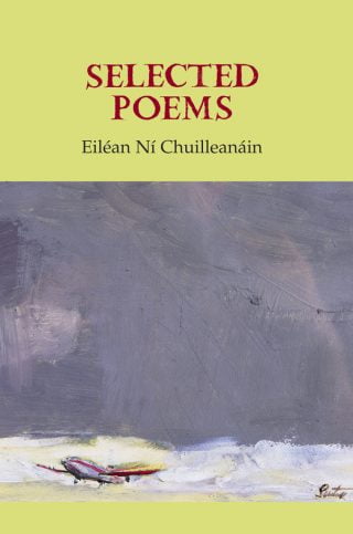 Selected Poems - Eiléan Ní Chuilleanáin - ebook