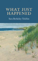What Just Happened - Sara Berkeley Tolchin