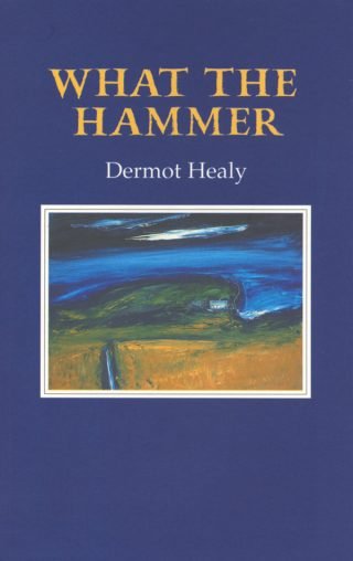 What the Hammer - Dermot Healy