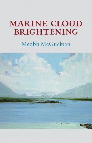 Marine Cloud Brightening - Medbh McGuckian