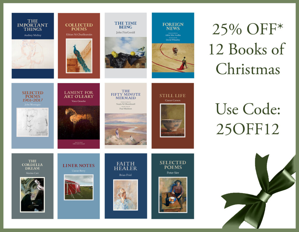12 Books of Christmas