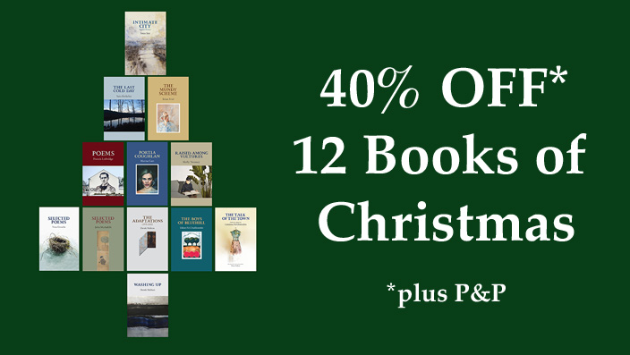 12 Books of Christmas Special Offer: 40% Off