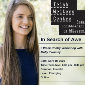 Poetry Workshops with Molly Twomey